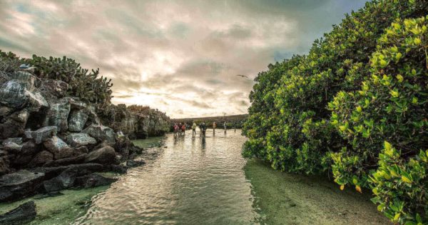 Darwin Bay, Genovesa Island.