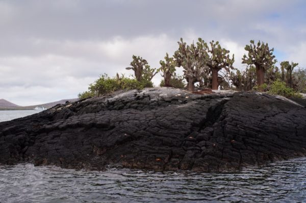 Landscape of Floreana Island.