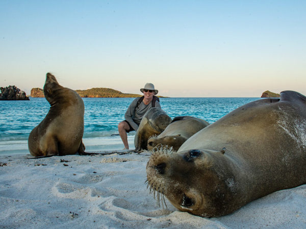 Group of sea lions resting on Gardner Bay.