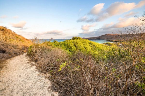 Landscape of Floreana Island.
