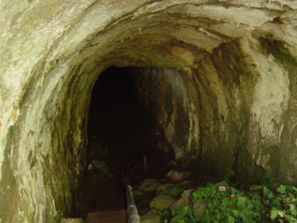 A lava tunnel of the Galapagos Islands.