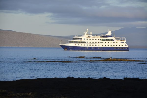 Santa Cruz II at Fernandina Island.