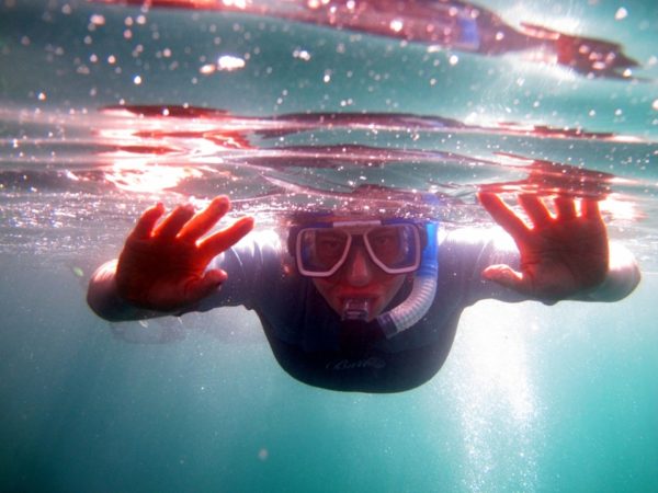 Snorkel on Genovesa in Galapagos.
