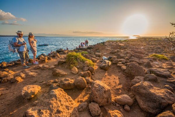 North Seymour, Galapagos Islands.