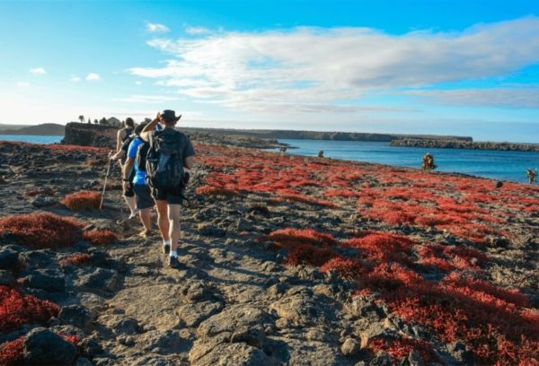 South Plaza is a must-visit Island of the archipelago.
