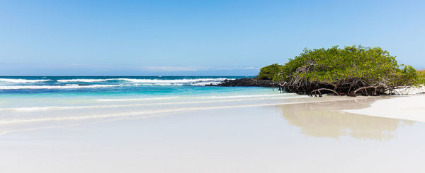 Tortuga Bay landscape.