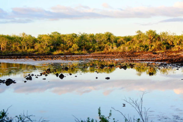 Dragon Hill at Galapagos.