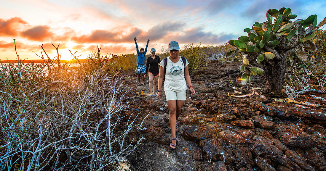 Hiking at Darwin Bay on Genovesa Island. Santa Cruz II's guests exploring Darwin Bay on Genovesa Island.