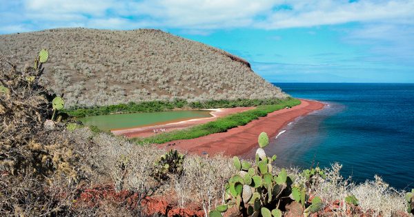 Rabida Island landscape
