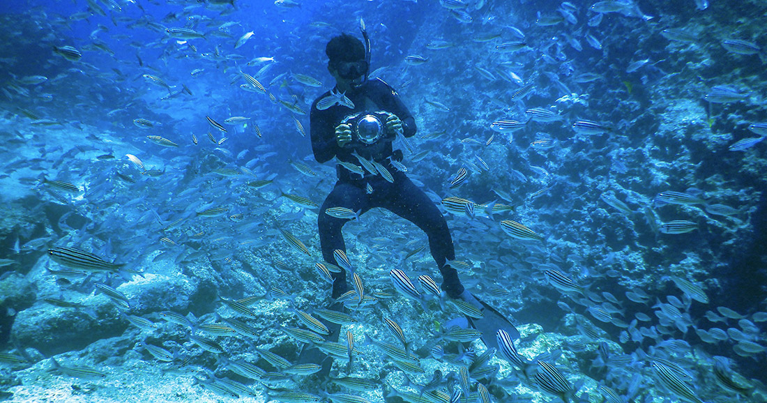 Snorkeling at Bucaneer Cove in Galapagos. Snorkeling at Bucaneer Cove in Galapagos.