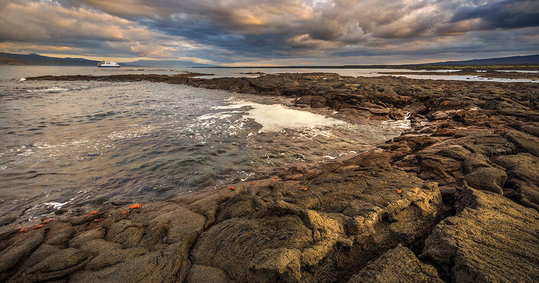 Punta Espinoza at Fernandina Island, Galapagos Islands Punta Espinoza at Fernandina Island, Galapagos Islands